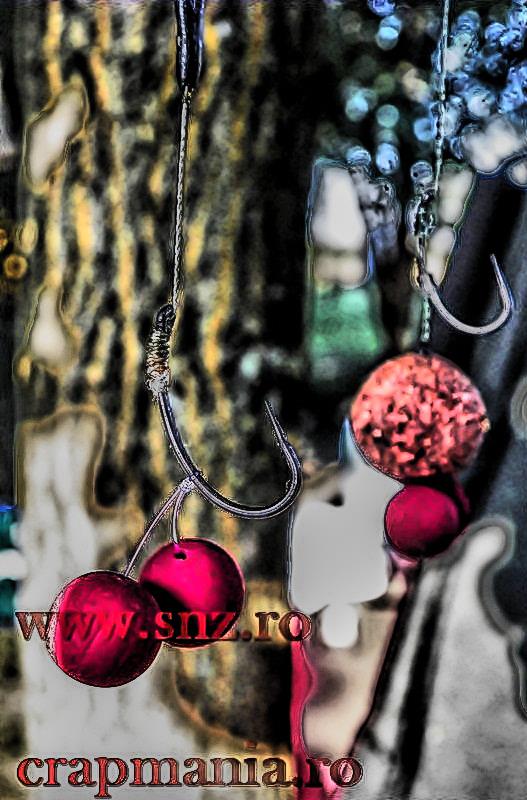 Debutmania - 2013 (3) - 1030723hdrmode2.JPG